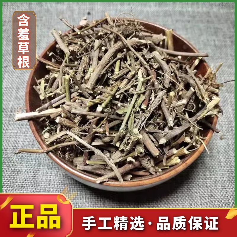 野生含羞草根正品含羞根红骨茎含羞草根害羞草根怕丑草干货非葛根