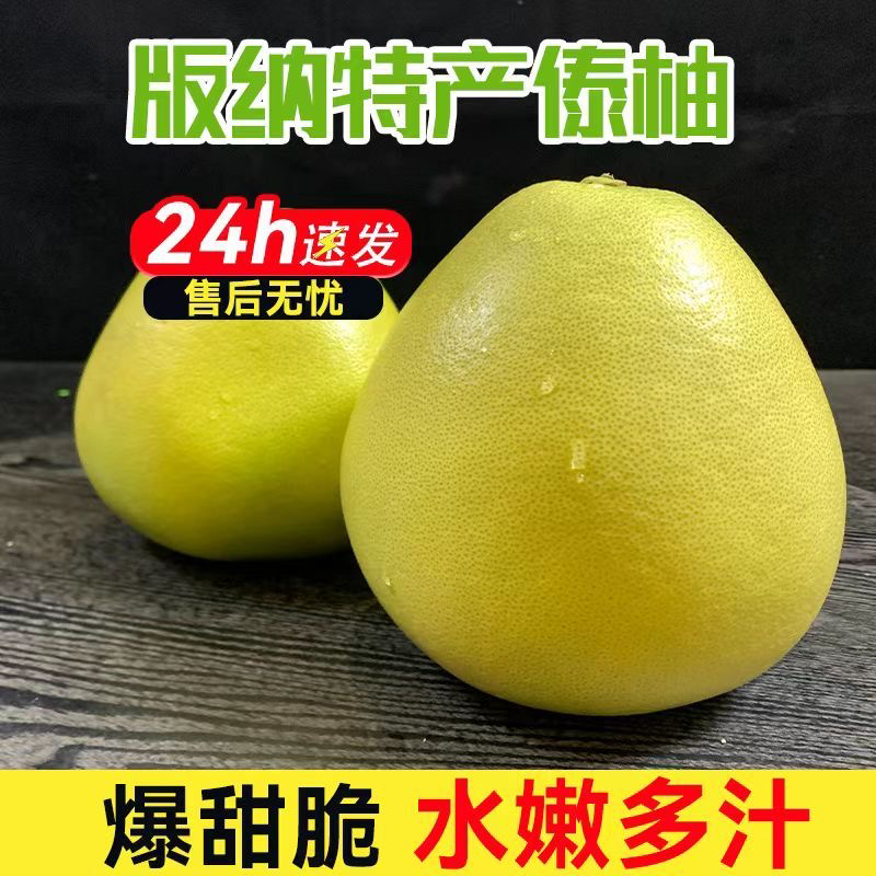 云诚庄园西双版纳新鲜采摘东试早柚傣柚多汁酸甜可口饱满大柚子