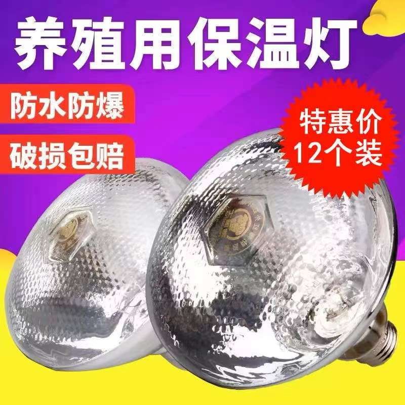 养殖专用保温灯养殖取暖灯猪牛羊幼鸡烤灯兽用防水保暖灯猪用仔猪