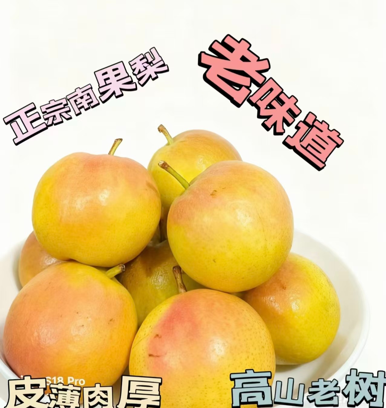 阳面果-正中鞍山老树南果梨