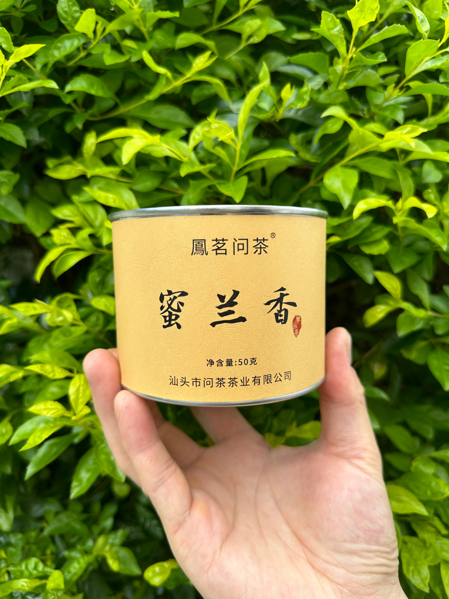 凤凰单丛茶蜜兰香茶叶小罐装散茶50克/罐春茶花蜜香鳯茗问茶