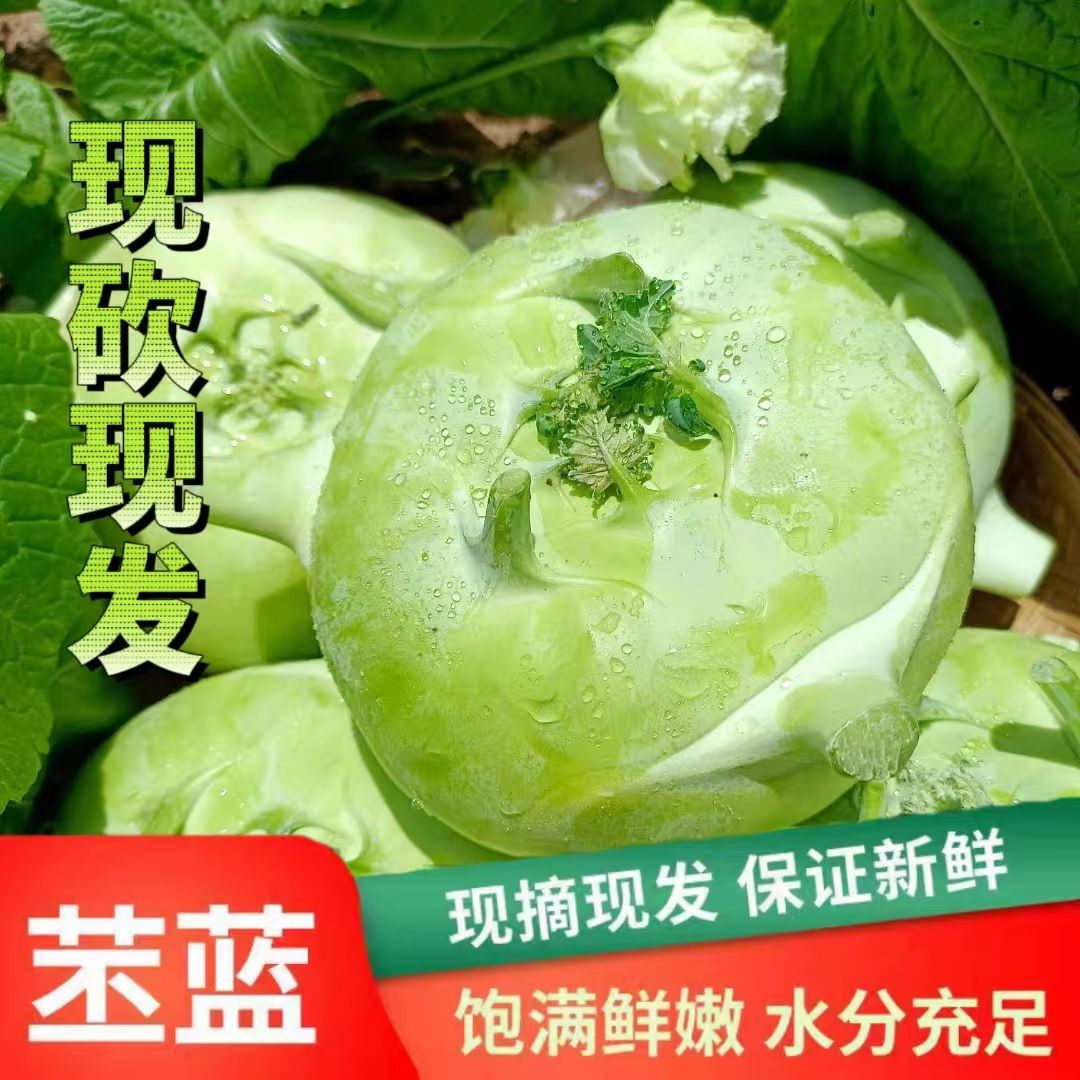 新鲜蔬菜苤蓝山西产正宗苤蓝疙瘩大头菜芥菜头农家自种现摘现发