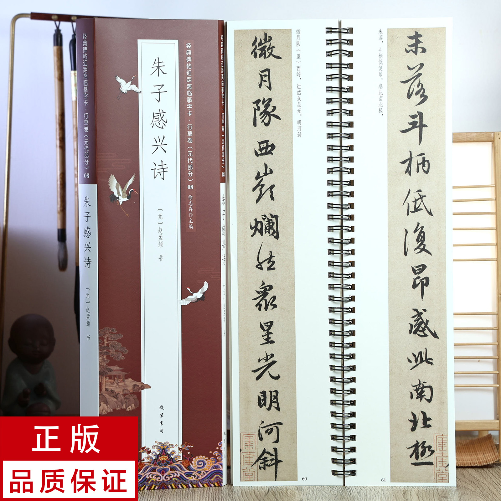 赵孟頫行书朱子感兴诗静文轩近距离临摹字帖