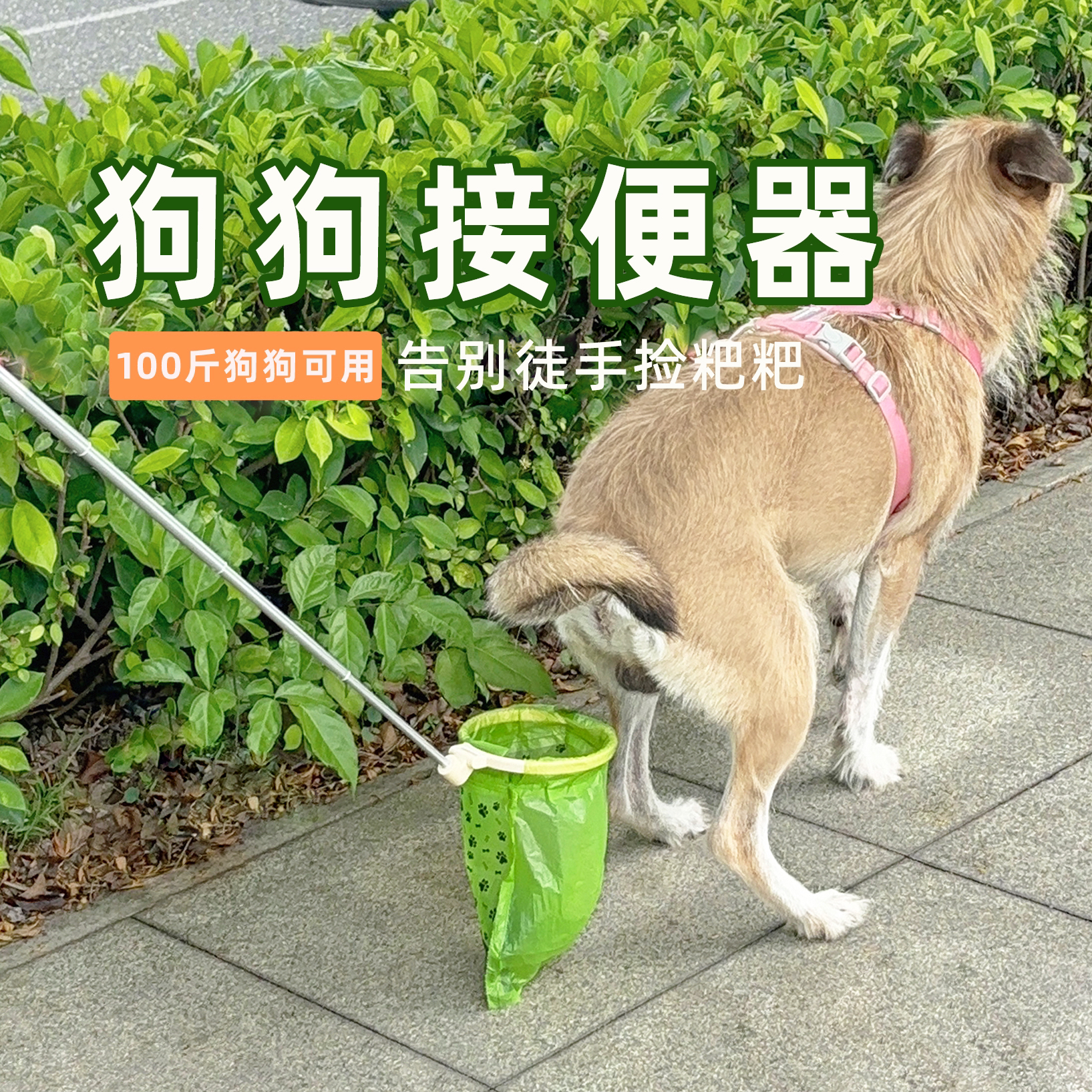 狗狗接便器狗外出拾便器遛狗捡便器铲屎神器狗拉便接便神器拾便袋
