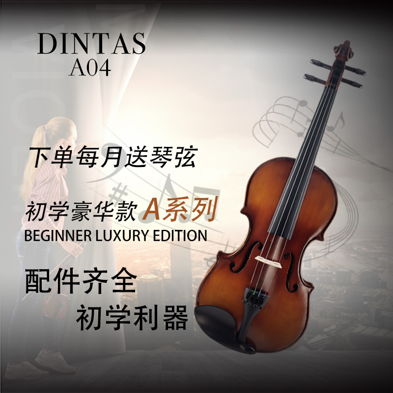 DINTAS/丁塔斯A04实木小提琴初学入门儿童成人自学考级演奏小提琴