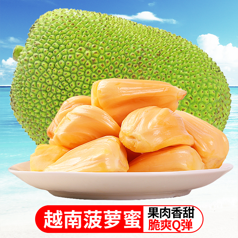 【辨别生熟】越南菠萝蜜8斤起整颗新鲜水果大干苞单果TY