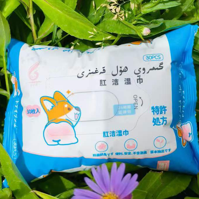 新疆包邮买一送一莱亿拉肛洁湿巾gimroykagizi