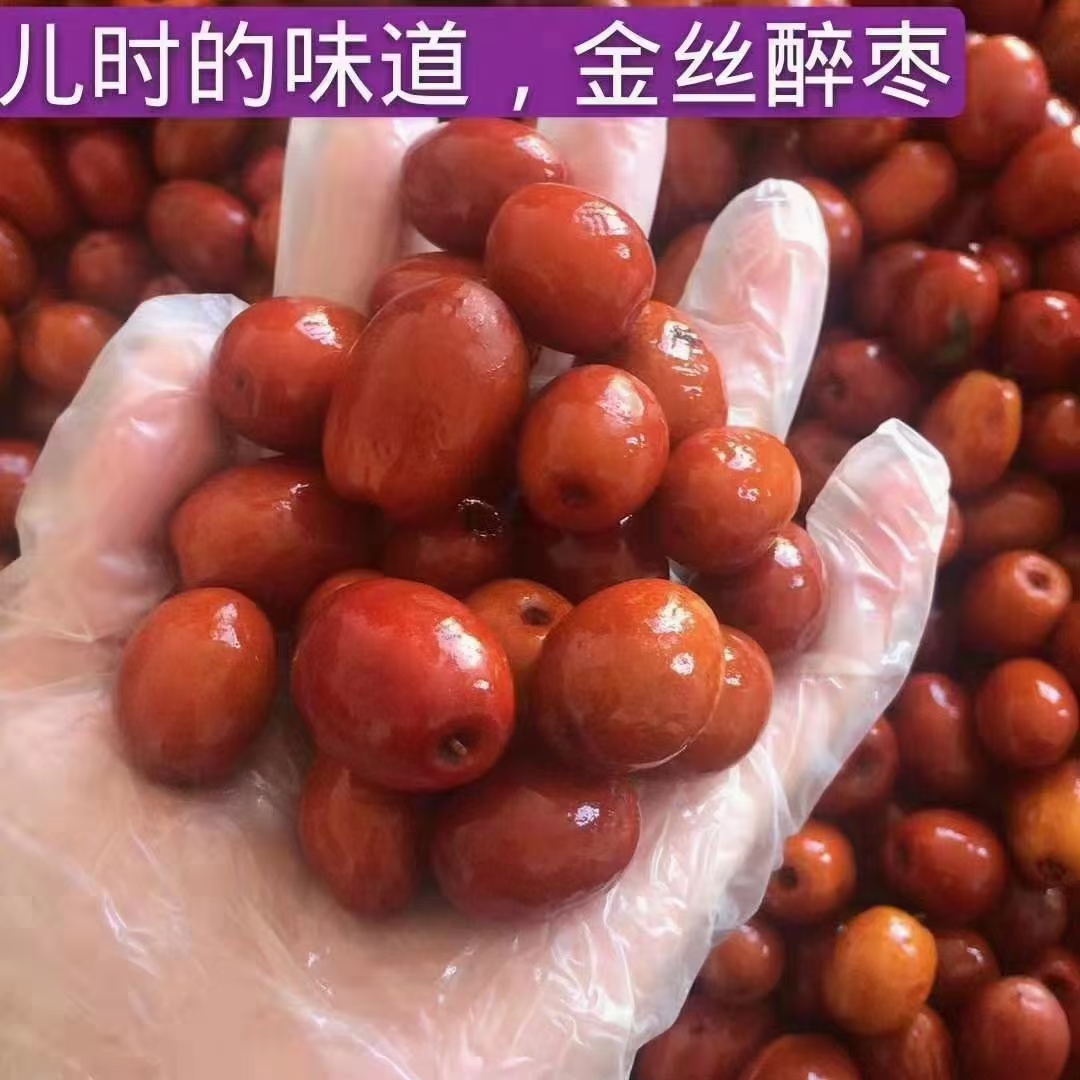 沧州金丝小枣醉枣3斤包邮今年新货