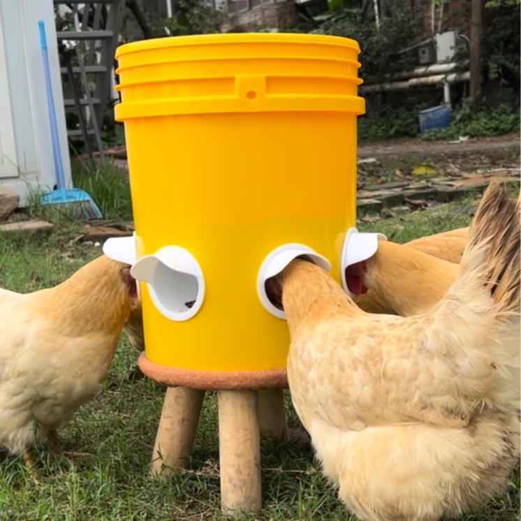 养鸡专用自动喂料器鸡鸭鹅鸽子家禽懒人喂食神器养殖场用品
