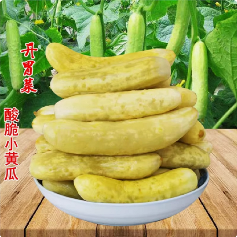 江西赣南特产脆皮酸黄瓜客家手工腌制泡菜开胃爽口下饭菜瑞金