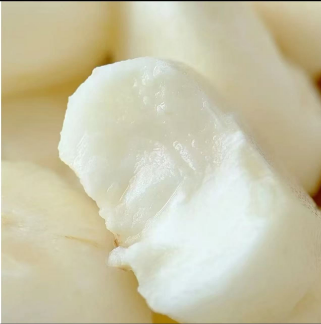 新鲜去皮精选马蹄新鲜现挖荸荠大地脆栗梨农家水果饽荠蔬菜1斤