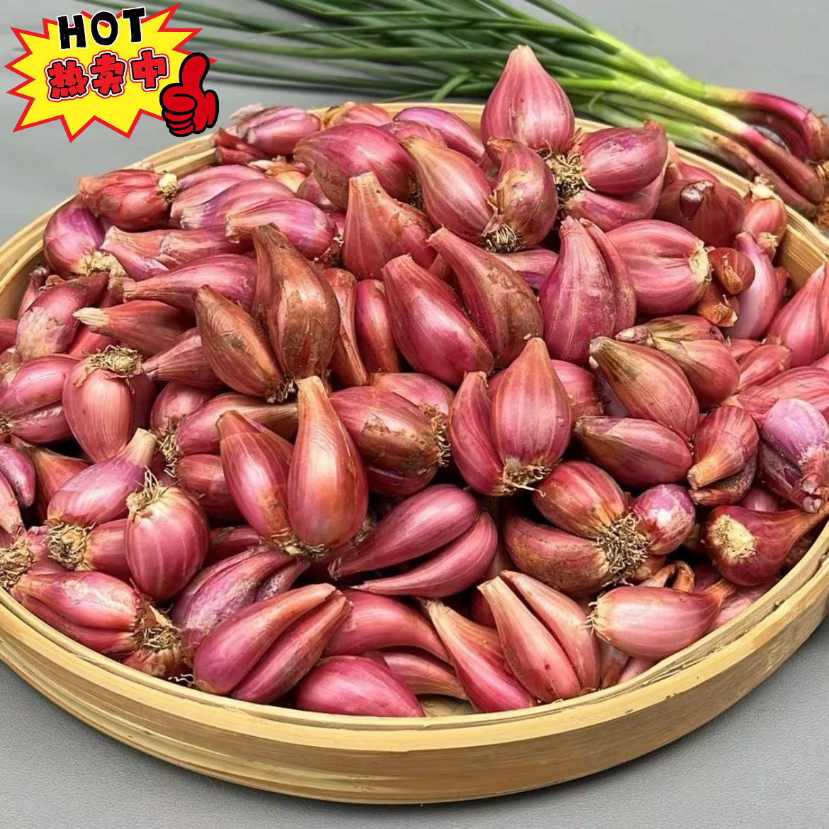 可食可种正宗新鲜小香葱红葱头干葱头火葱熬葱油特香可种植包邮