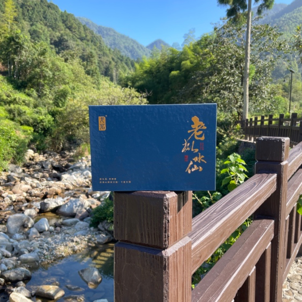 Ge Ming/戈茗 老枞水仙盒装闽北乌龙（水仙）一级原生态送礼