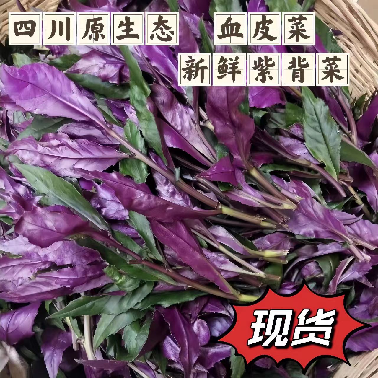 【活动价】四川紫背菜血皮菜食用蔬菜新鲜观音菜嫩叶1/4斤发货包邮