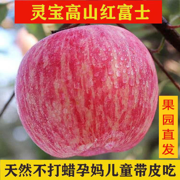 当季正宗河南灵宝寺河山红富士苹果产地直发新鲜脆甜多汁一级精品