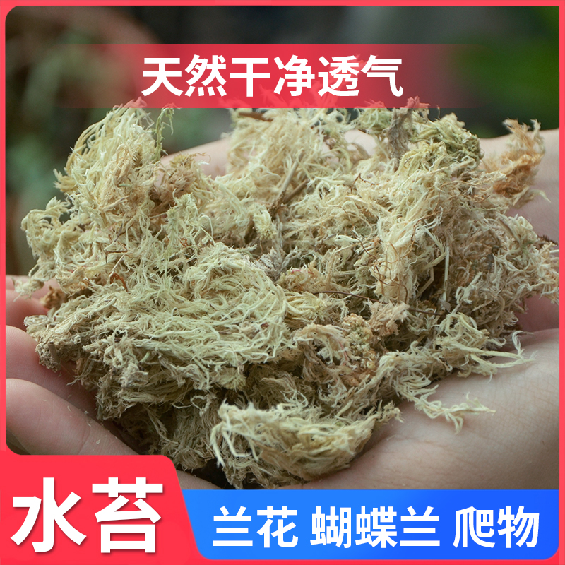 水苔无菌干水苔蝴蝶兰花专用营养土苔藓石斛食虫植物养花陆龟垫材