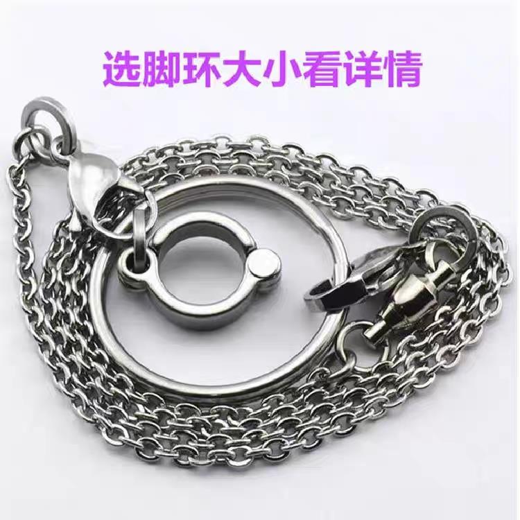 鹦鹉脚链鸟链子活扣脚环八哥鸟喜鹊脚环超轻不伤脚站架外出