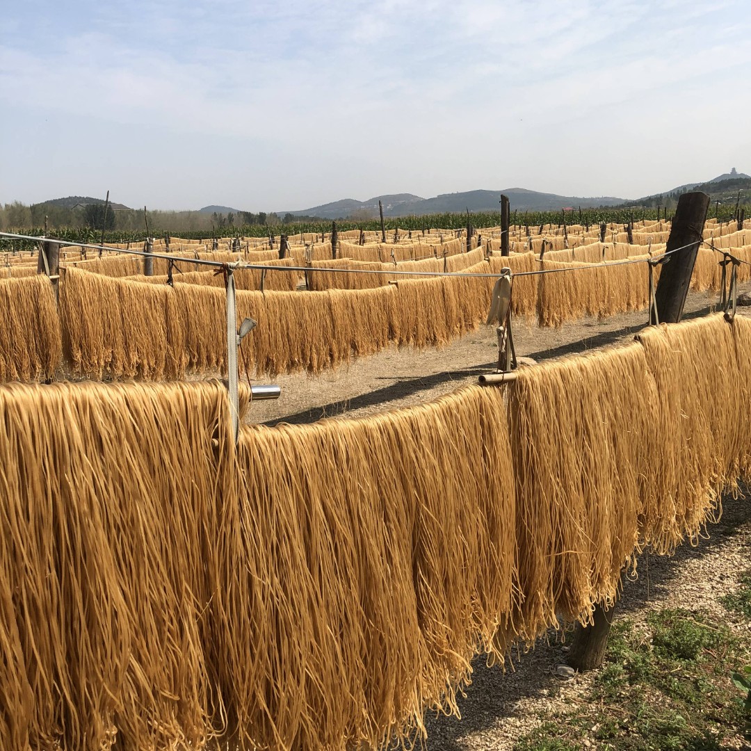 【1号活动】大仲村粉条沂蒙山区红薯粉条爽滑劲道不含胶2500g农家