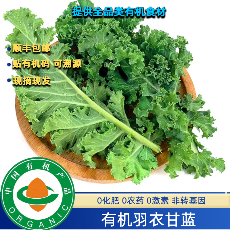 有机认证有机羽衣甘蓝2斤顺丰现摘现发，生榨无农残安心绿色蔬菜