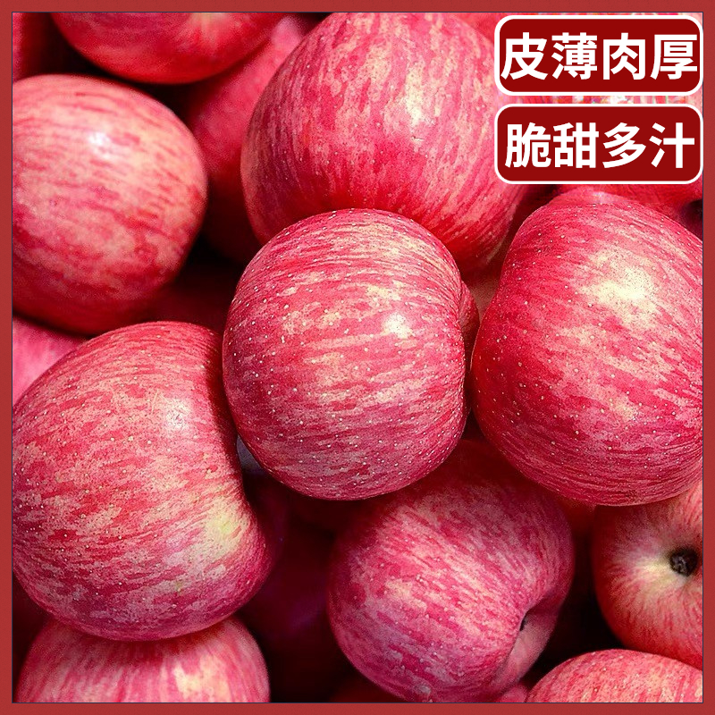 陕西延安洛川红富士苹果水果产地直发净重1.5-8.5斤