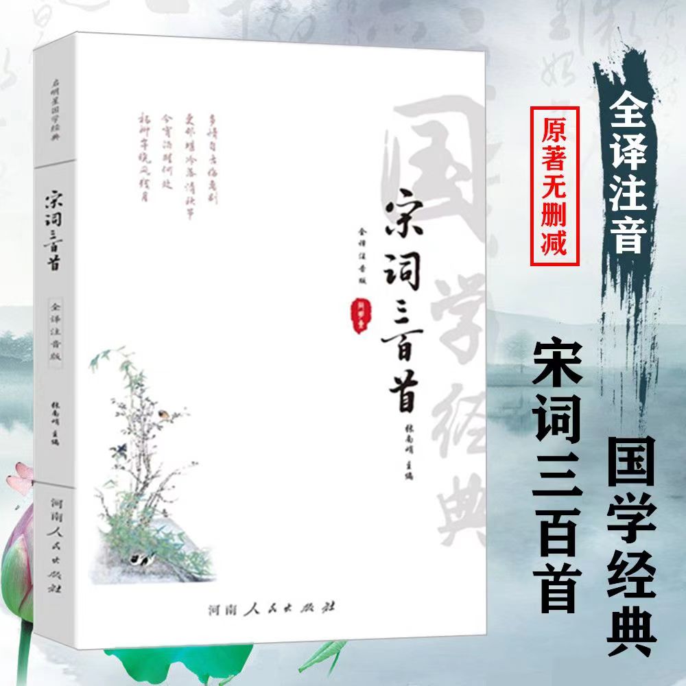 全注音大字版全本 宋词三百首全256首注释译文赏析古诗词国学经典