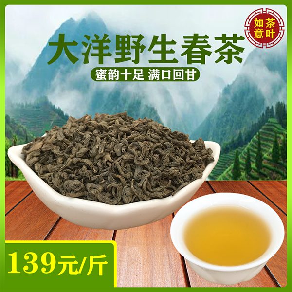 大洋炒茶2025明前新春茶揭阳揭西高山野生炒茶浓香绿茶高山茶