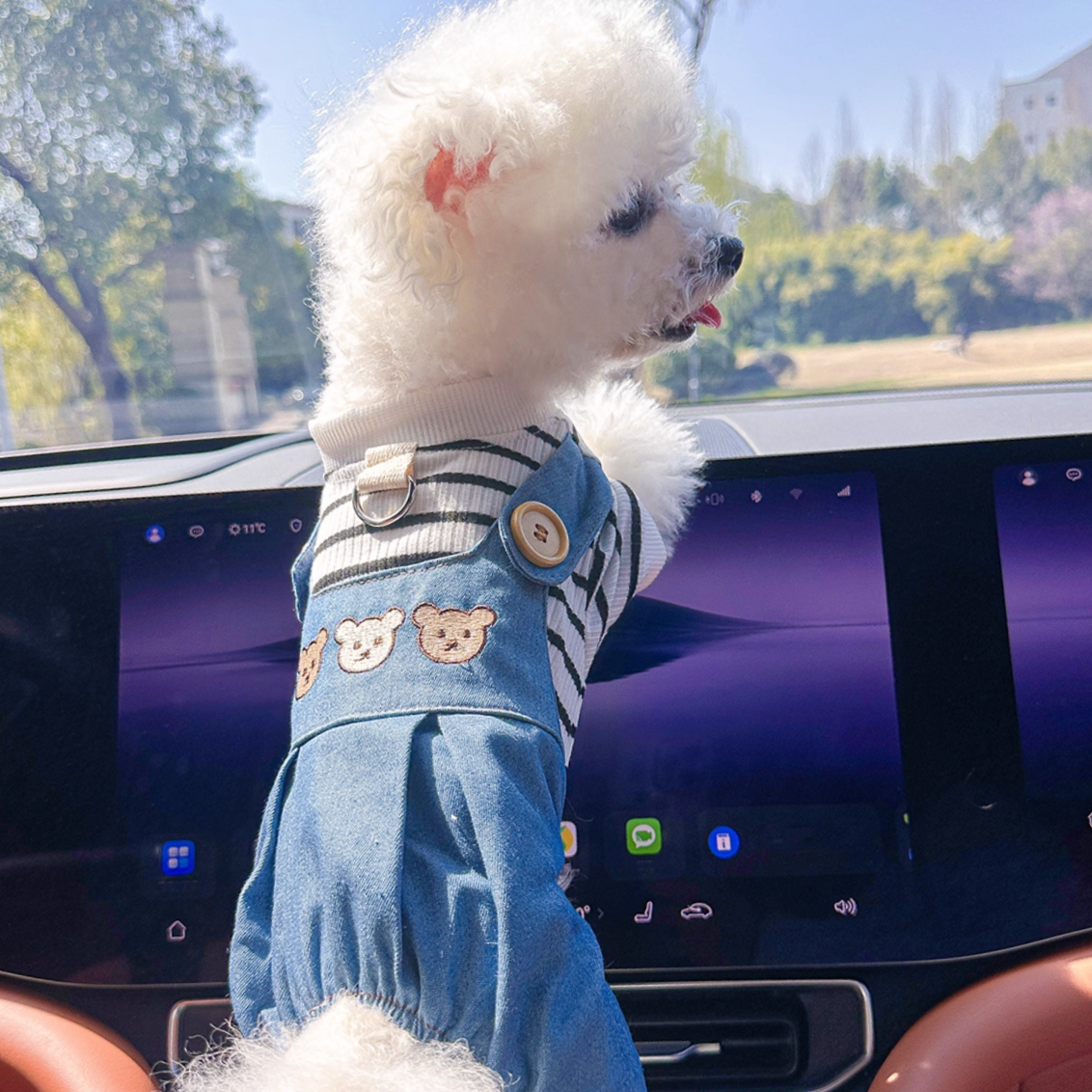 小狗狗衣服春夏季背带裤潮款泰迪比熊博美中小型犬宠物猫咪四脚衣