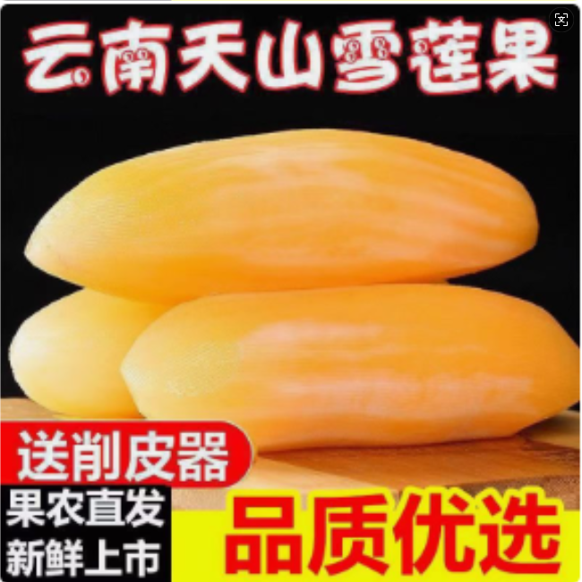 【清甜多汁】云南天山黄心雪莲果新鲜现挖生吃脆甜产地直发送削皮刀