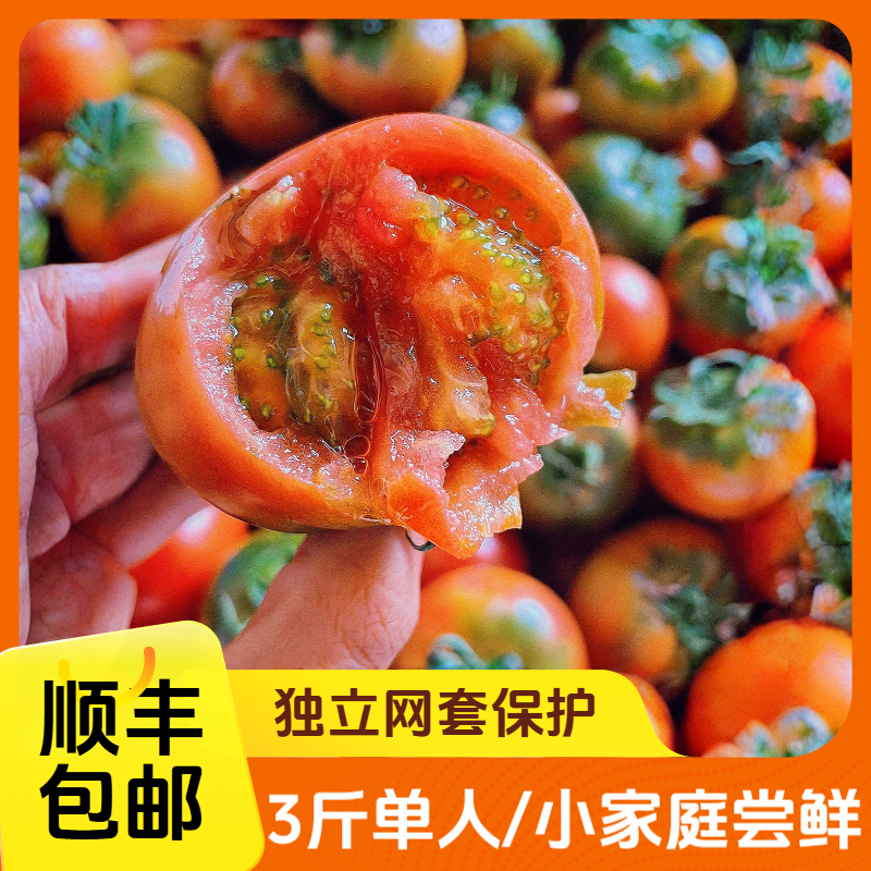 【3斤】顺丰包邮内蒙种植草莓西红柿酸甜可口现摘现发新鲜可生吃