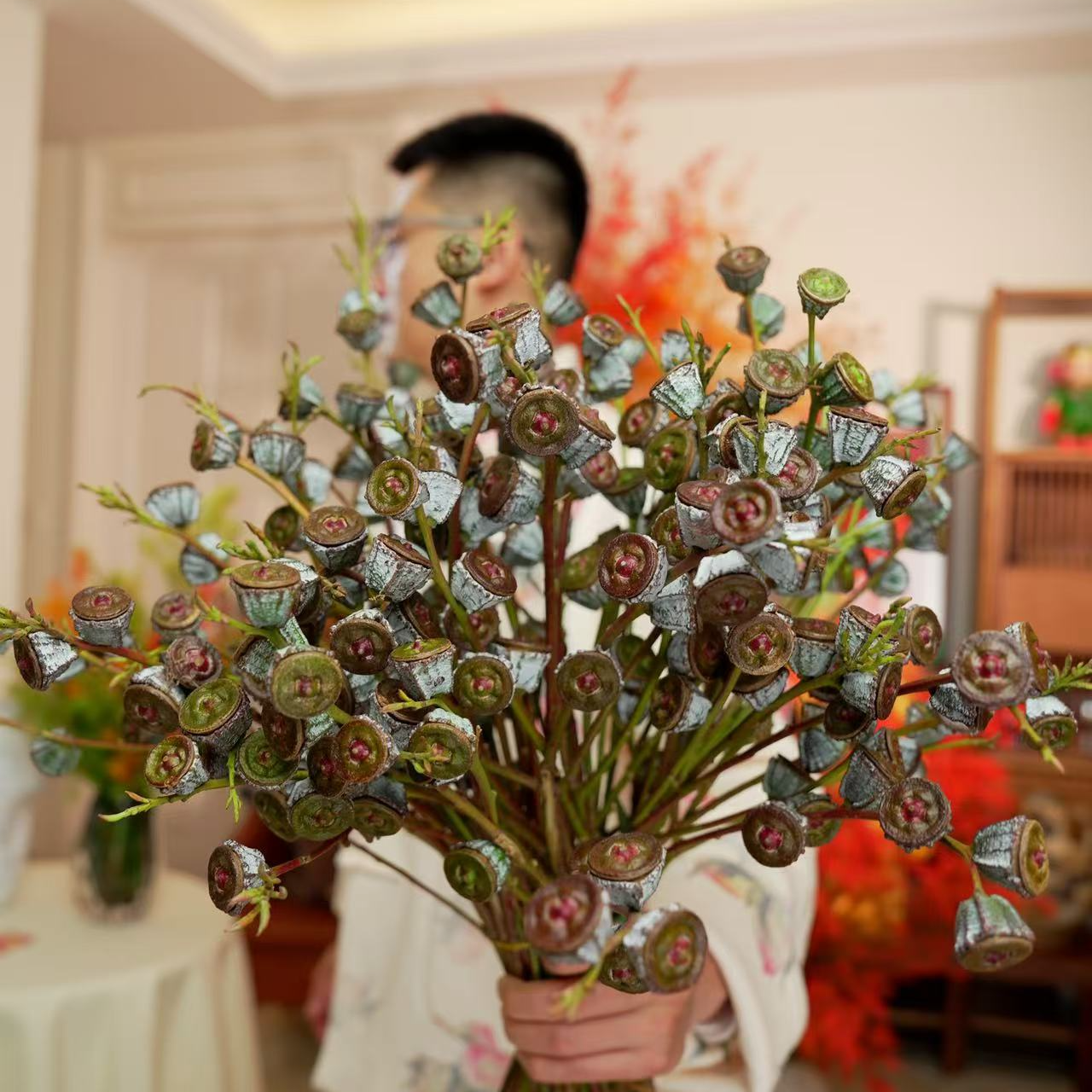 【宝石尤加利老果】云南基地直发  可做干花 自带香味净化空气 