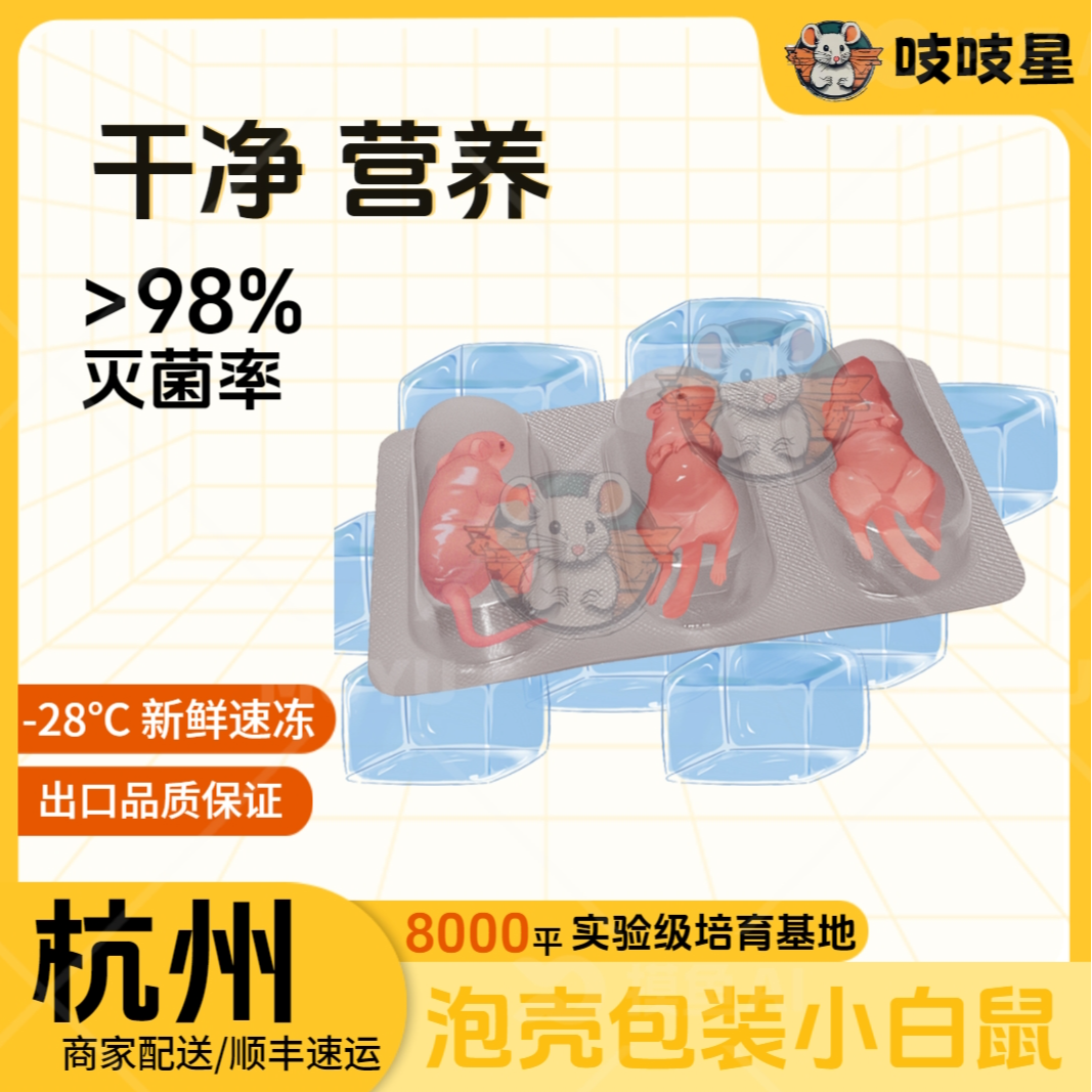 吱吱星浙江吱吱星泡壳工艺冻体干净卫生小白鼠蛇类饲料冷冻产品