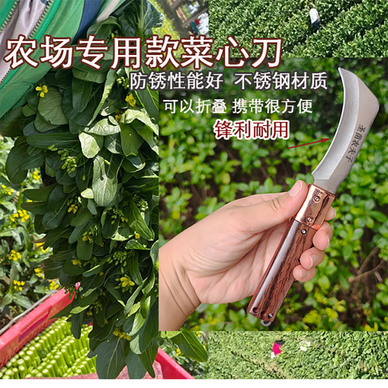 农业专用304材质菜心刀折叠便携式锋利小刀防锈性能好多用途小刀
