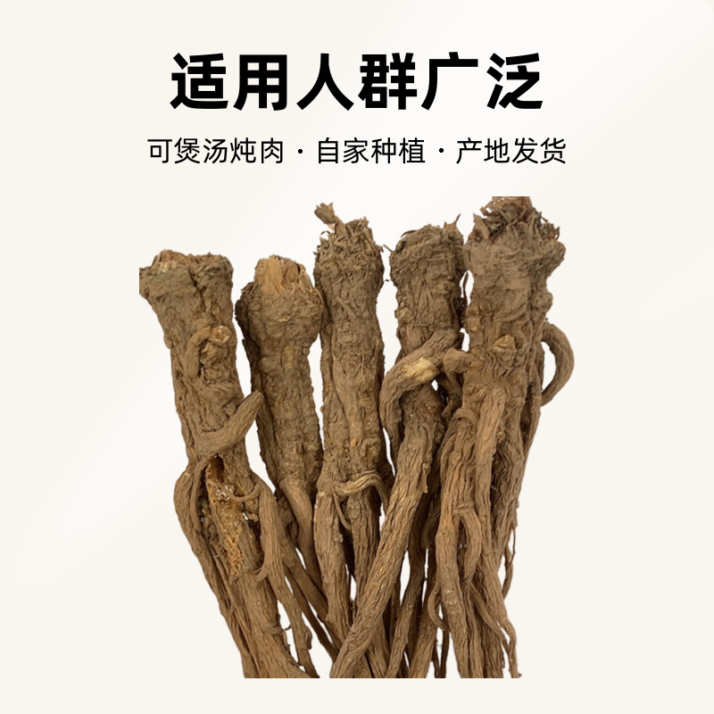 岷归整条小条可煲汤炖肉产地发货自家种植黄芪产地直销黄芪枸杞