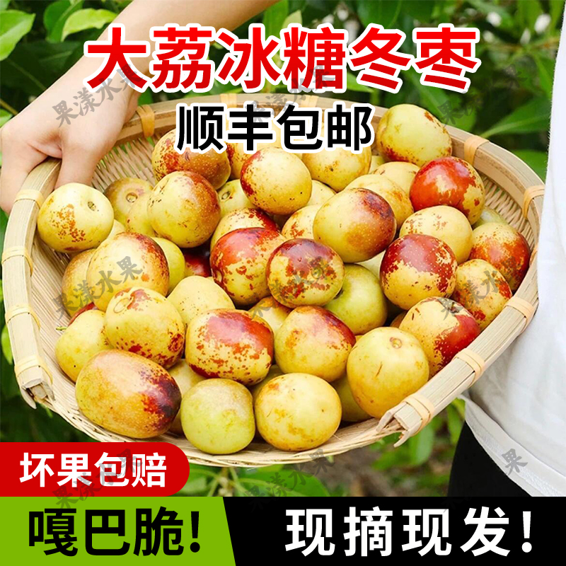 【顺丰直达】陕西大荔冬枣现摘现发新鲜甜脆当季现摘维生素c水果