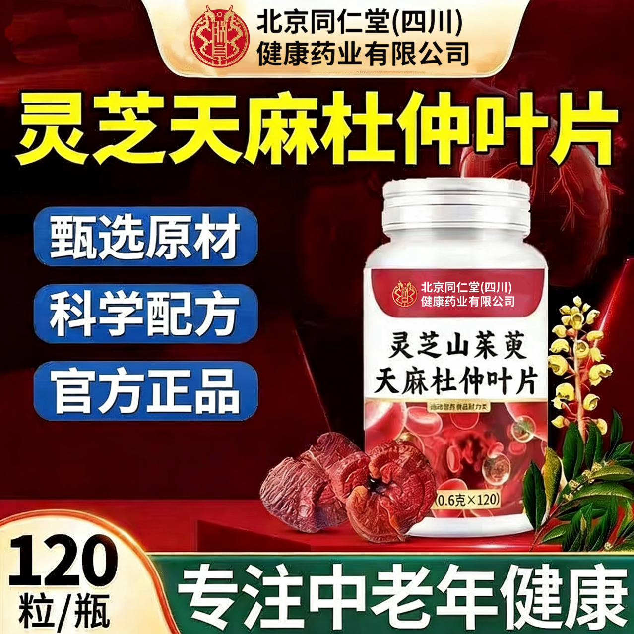 北京同仁朕皇宗灵芝山茱萸天麻杜仲叶片关注心血管问题温和易吸收