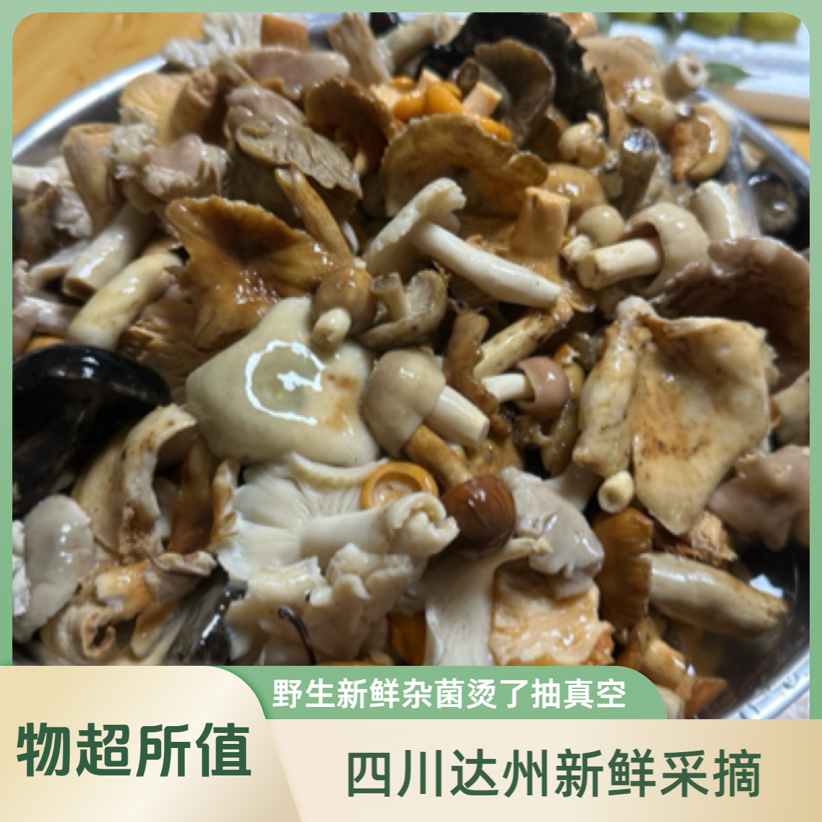 四川达州新鲜美味青头菌等野生杂菌抽真空发货可炒菜炖汤