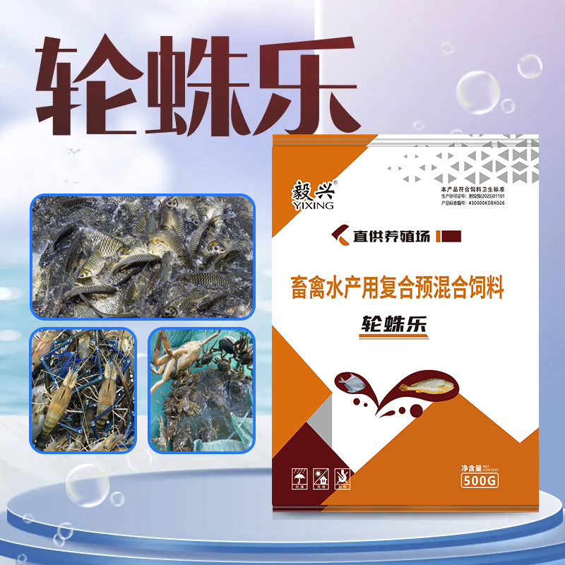 水产养殖培育水蛛轮虫 鱼苗开口