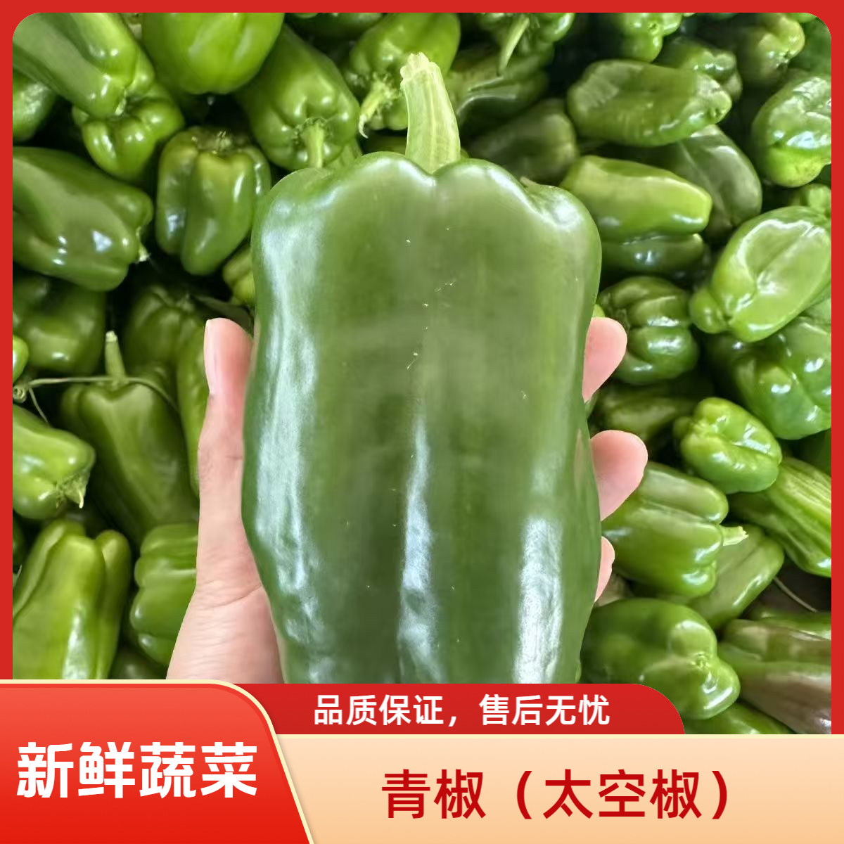 【顺丰包邮】新鲜菜椒太空椒精选皮薄肉厚清脆爽口不辣送货上门