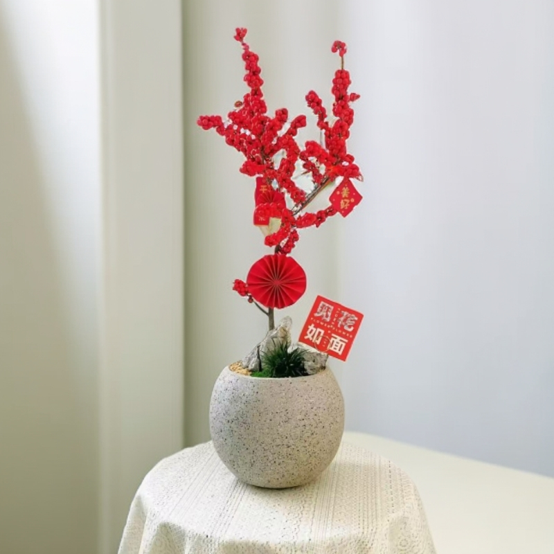 耐寒耐热北美冬青红果年宵花卉适合庭院桌面摆放盆栽