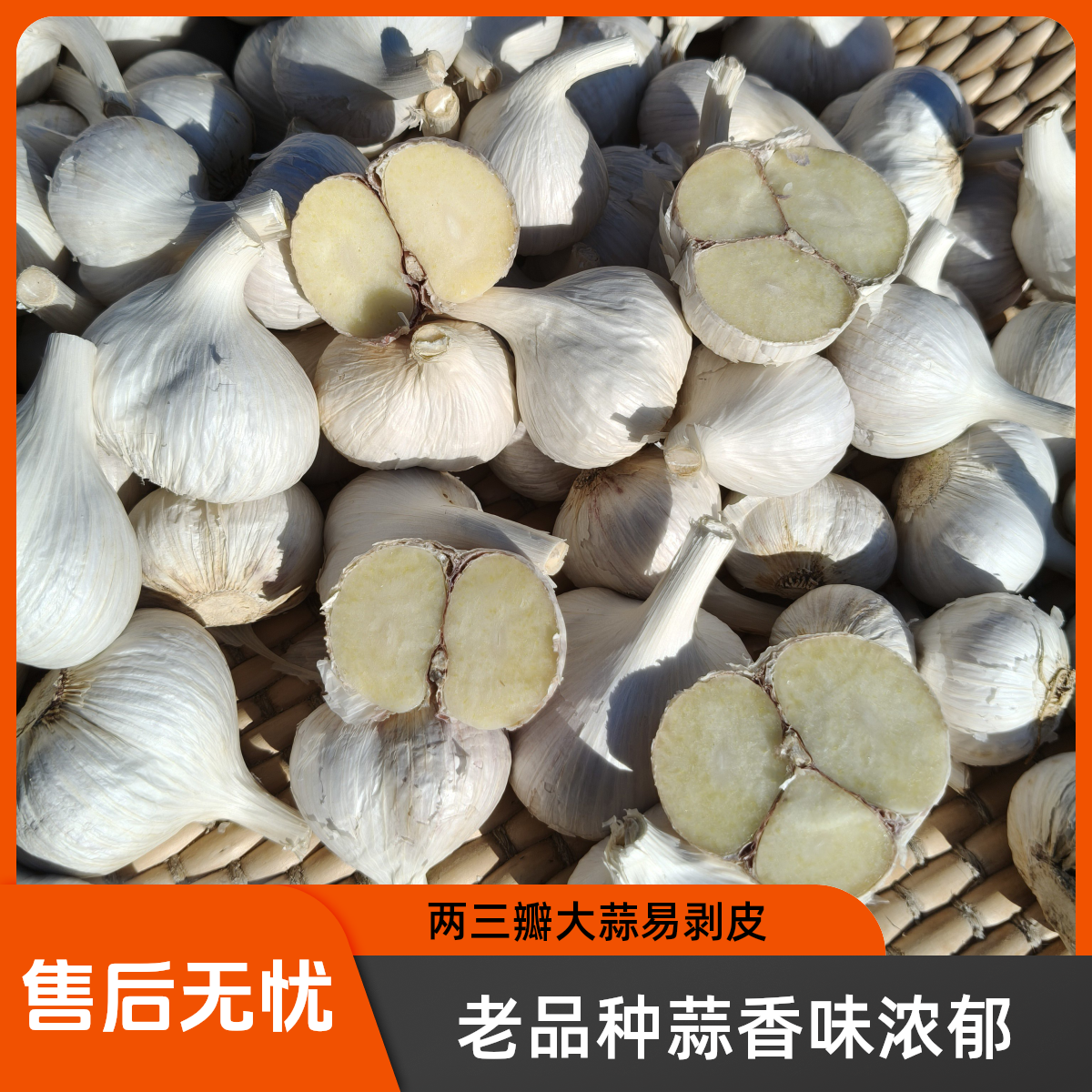 苍山两三瓣四六瓣大蒜老品种蒜香味浓可种可腌制