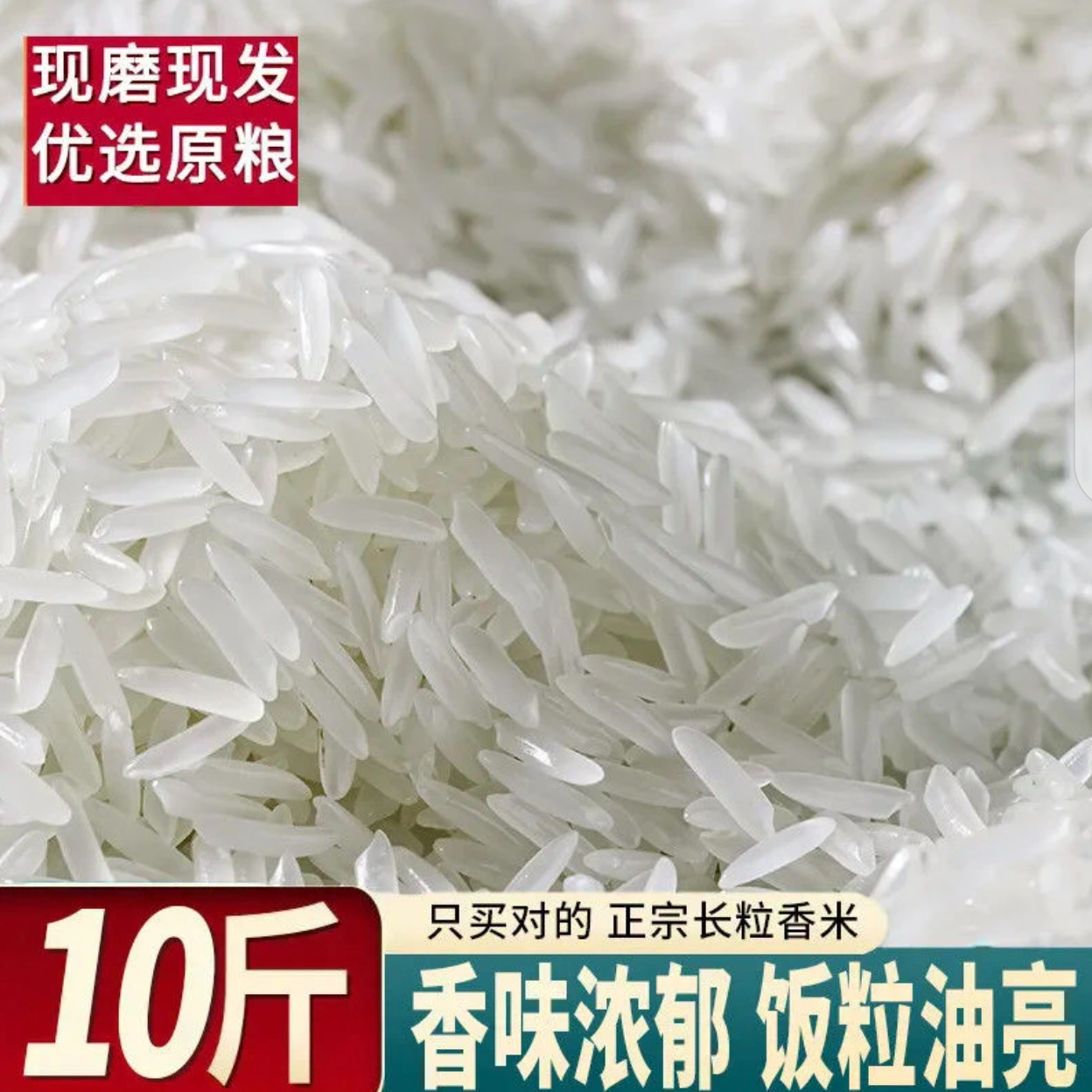 【25年新米】长粒香籼米中晚稻新米长粒香软硬适中