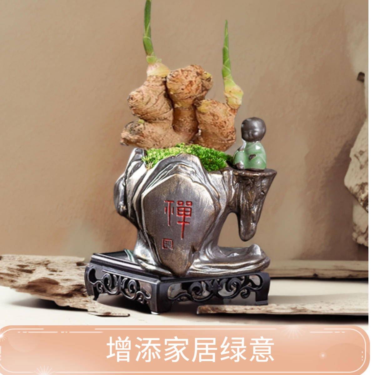 禄根盆栽带芽灵草四季好养不当生姜苗植物办公室内桌面小绿植盆景