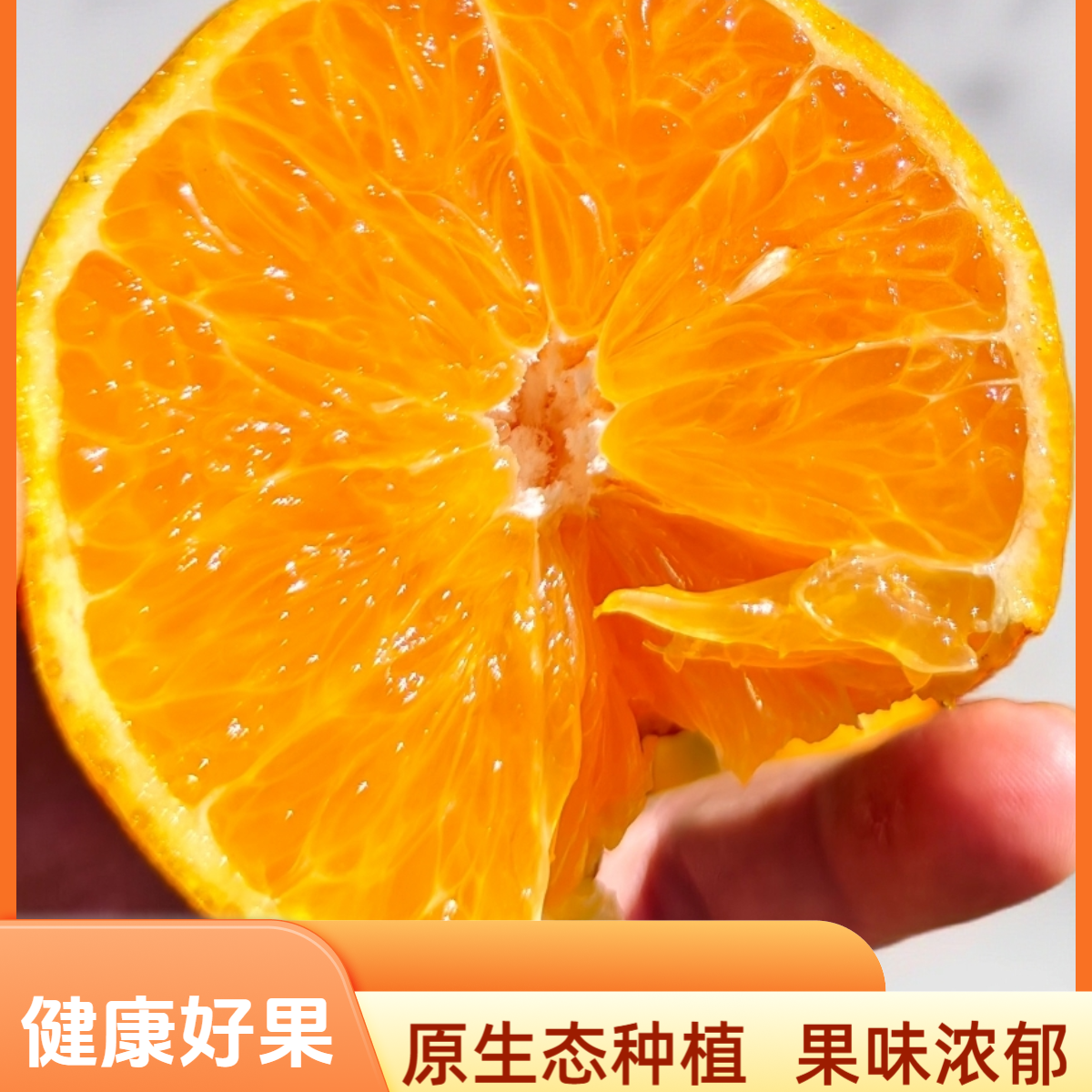 红美人爱媛果冻橙｜100%农家肥滋养｜0化肥｜0除草剂｜果味浓郁
