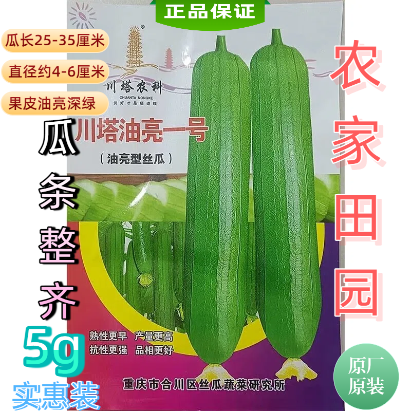川塔油亮一号油亮型丝瓜种子早熟瓜条整齐一致皮薄肉质脆嫩产量高