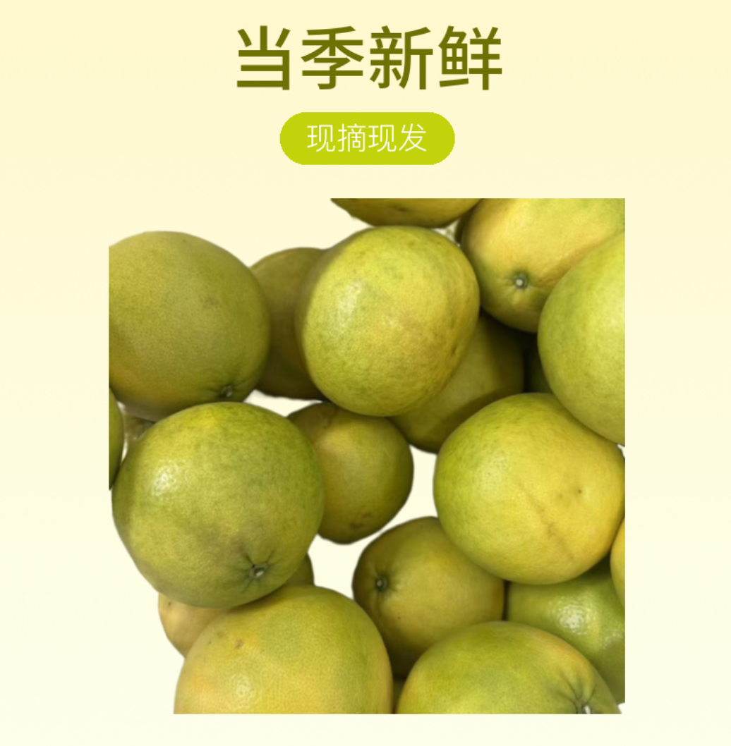 江西西柚 西柚当季新鲜 现摘现发 水果
