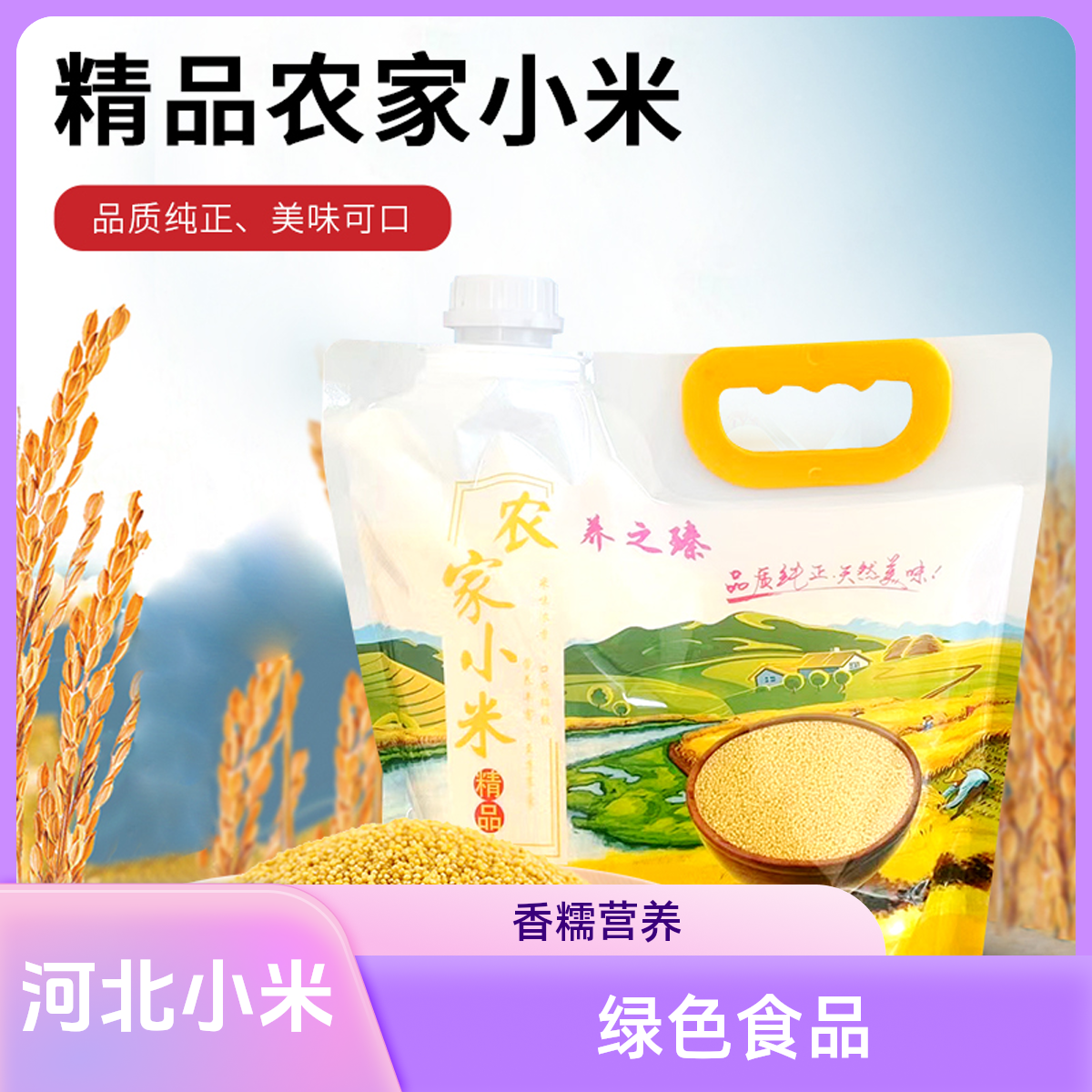 养之臻河北大金苗K1当季新产黄小米五谷杂粮可作月子宝宝辅食农家