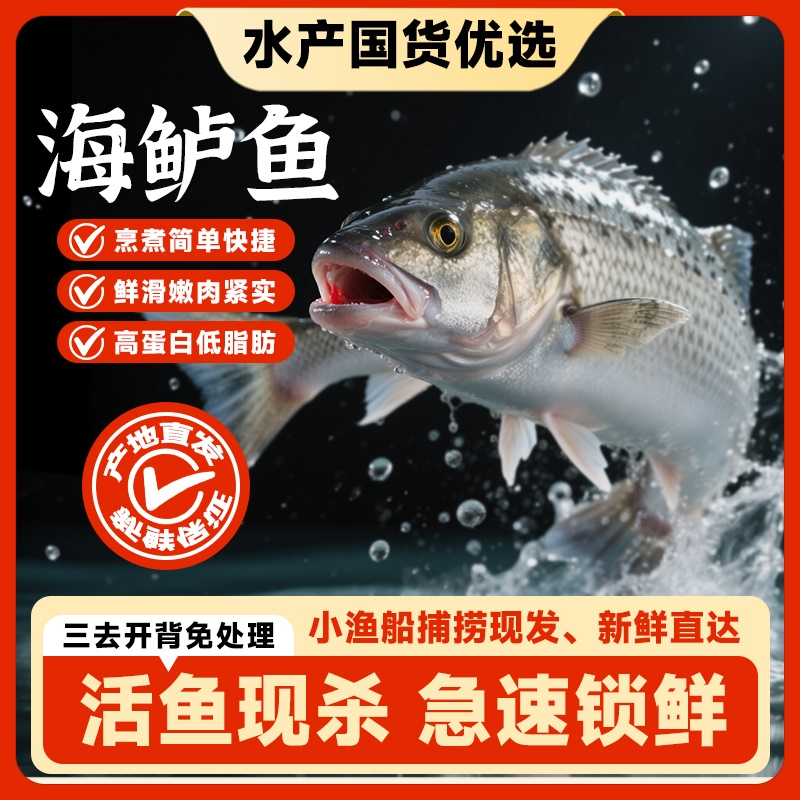 【开背海鲈鱼】海鲈鱼活鱼现杀速冻锁鲜去鳞鲜嫩肉质鲜美 口感新鲜