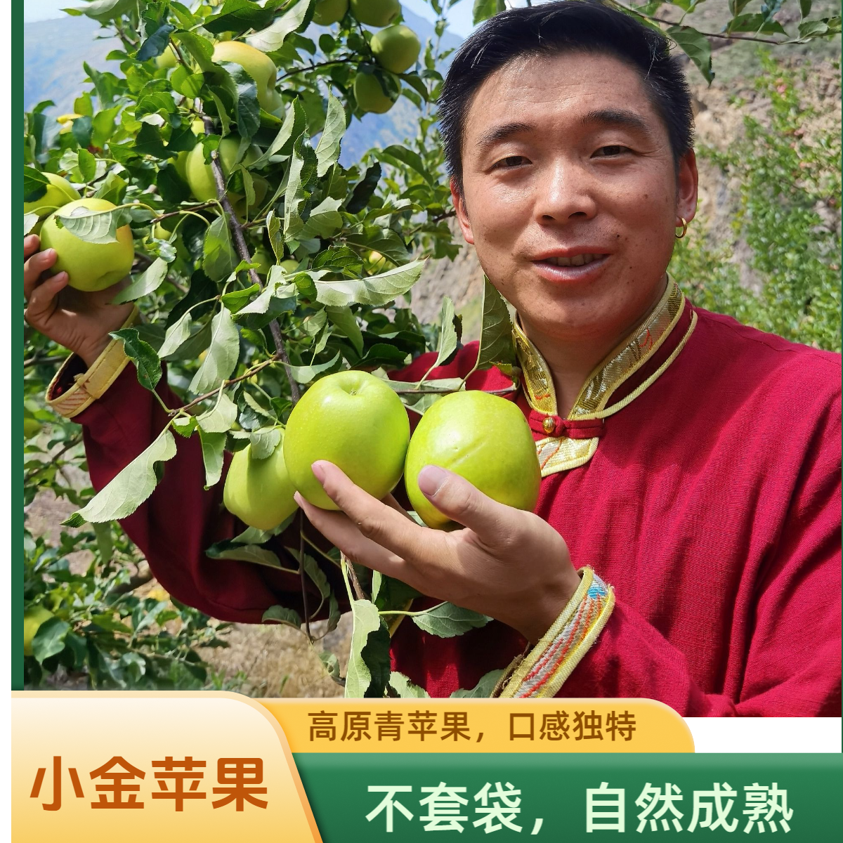 【阿斌优选】高原小金县青苹果不套袋不打蜡口感脆产地直发顺丰包邮