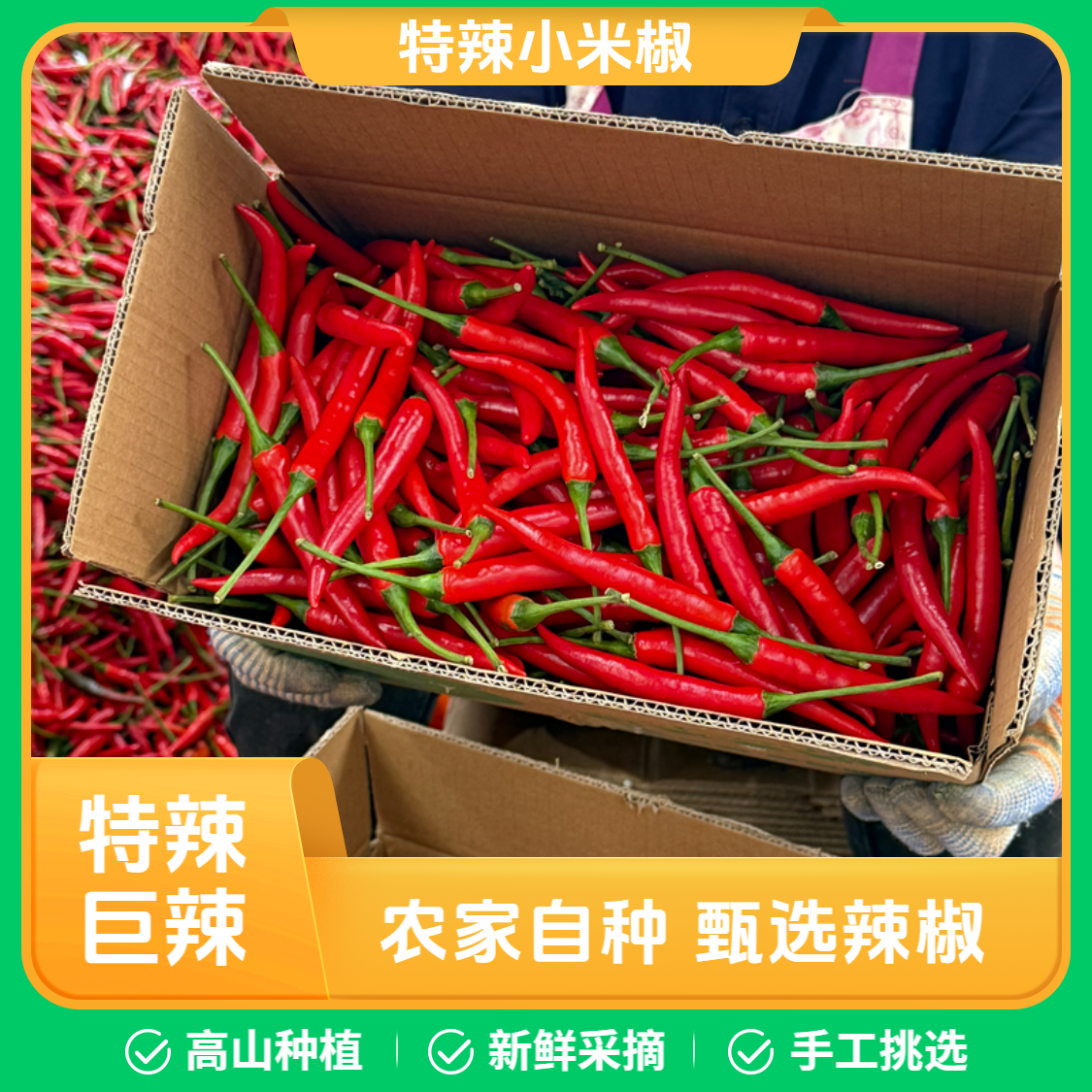 农家自种手工新鲜采摘特辣小米椒朝天椒餐饮蔬菜红辣椒泡椒剁辣椒