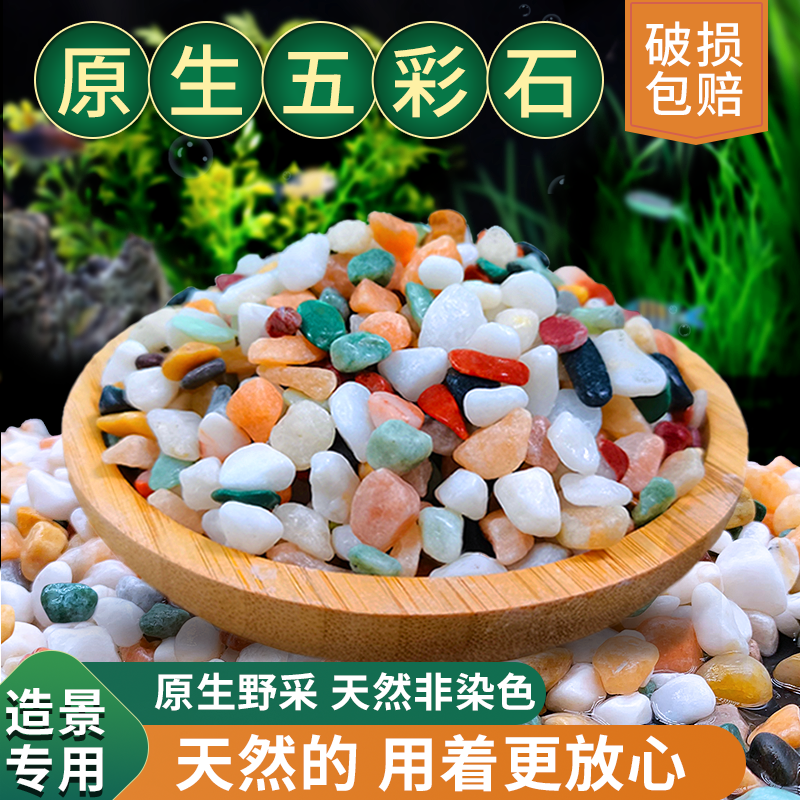 天然五彩石雨花石多肉花盆铺面养花养鱼彩色石子鱼缸造景装饰石头